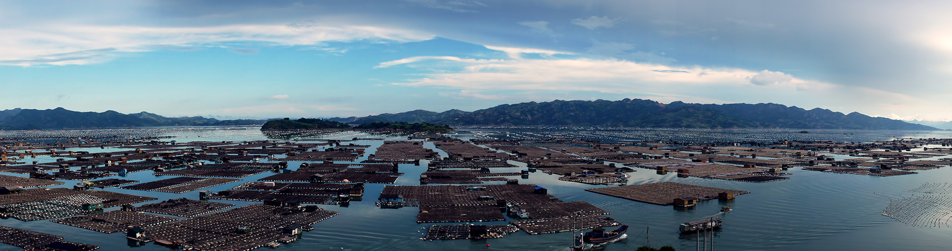 甲烷氣體檢測儀在養(yǎng)殖場沼氣氣體應(yīng)用解決方案